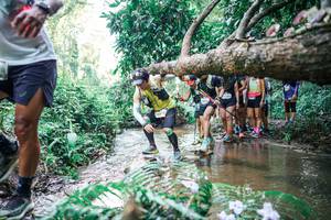 BIB: 
                            <button type="button" onclick="openModal(25469745)" class="btn btn-primary btn-sm float-right btn-popup" data-toggle="modal" data-target=".modal-high-quality">
                        <i class="fas fa-shopping-cart"></i> Add to Cart
                    </button>
                                            <button type="button" onclick="isThisMe(25469745, true)" class="btn btn-success btn-sm float-right btn-popup btn-isme hidden" data-toggle="tooltip" data-placement="bottom" title="นี่คือรูปของคุณใช่ไหม คลิกที่นี่เพื่อเอาเข้าอัลบั้ม">
                        <i class="fas fa-plus"></i> Add to album
                    </button>
                    <button type="button" onclick="isThisMe(25469745, false)" class="btn btn-warning btn-sm float-right btn-popup btn-isnotme hidden">
                        <i class="fas fa-ban"></i> Remove from album
                    </button>